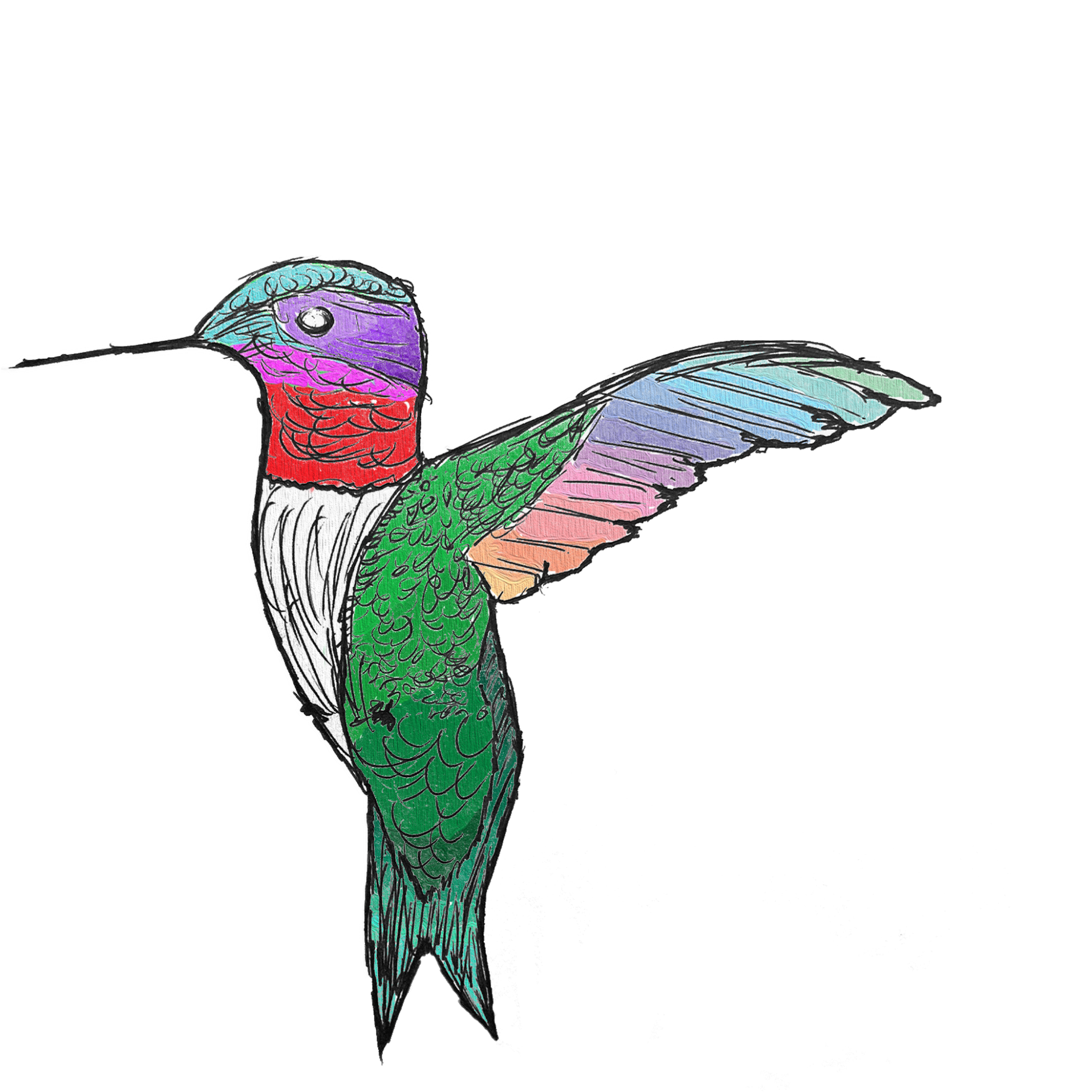 HMNGBRD logo